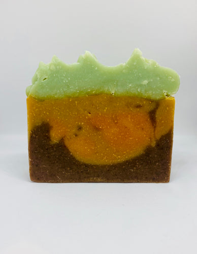 Carrot & Walnut Scrubber Soap